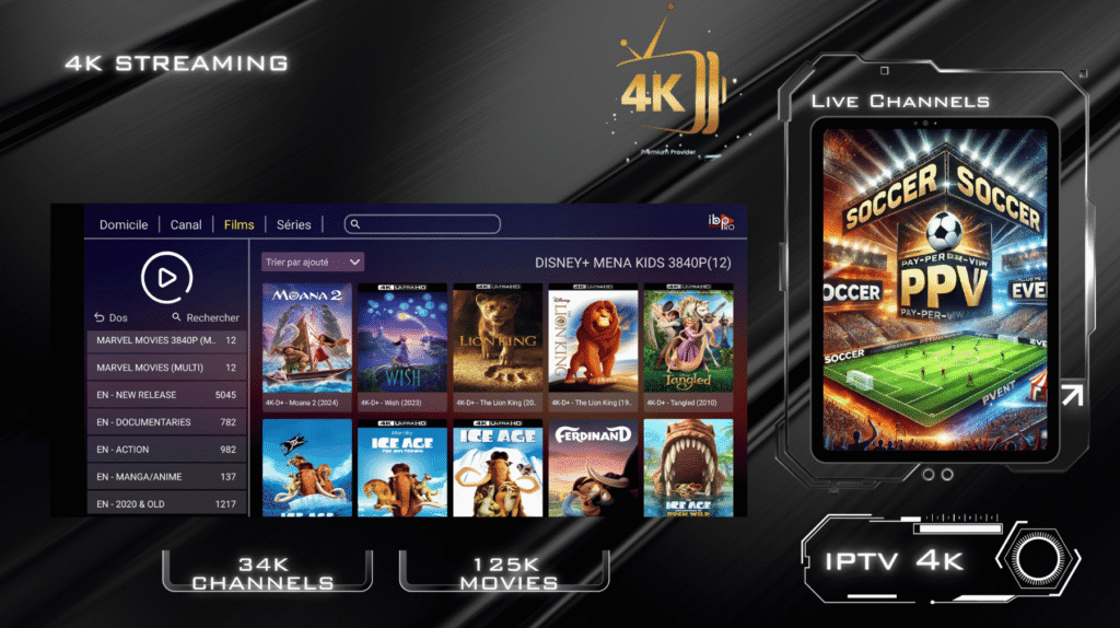 2 IPTV Subscriptions