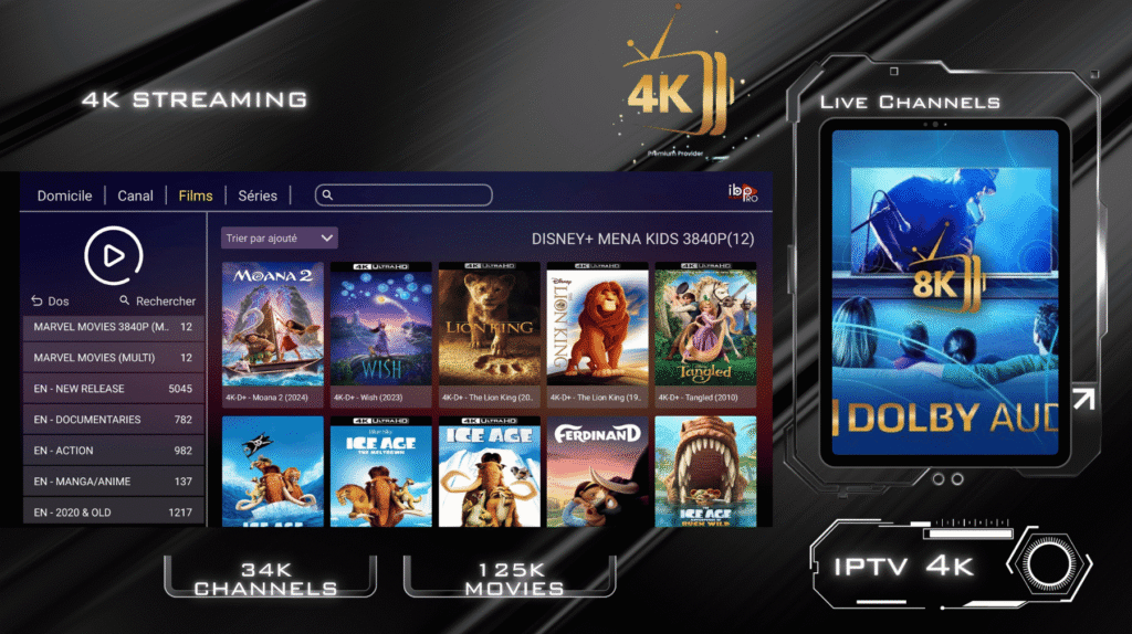 4 IPTV Suppliers